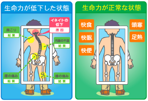 ピクチャ 1.png